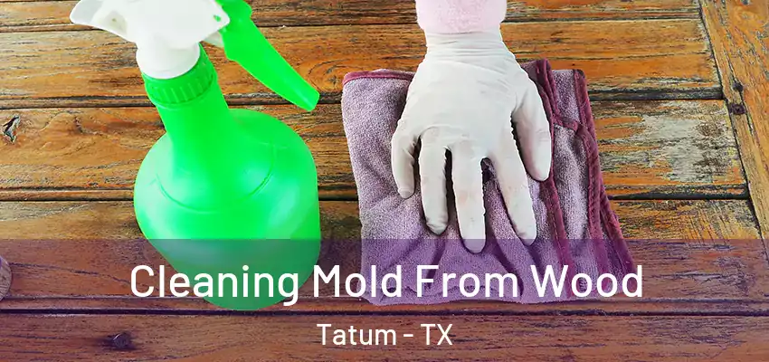  Cleaning Mold From Wood Tatum - TX
