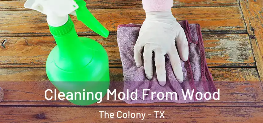  Cleaning Mold From Wood The Colony - TX