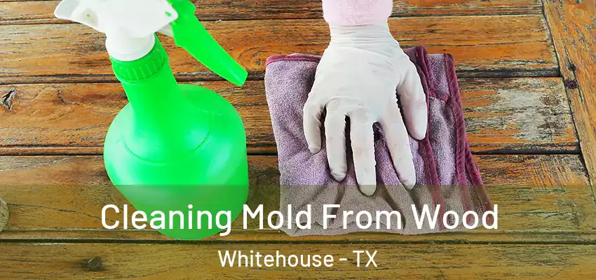  Cleaning Mold From Wood Whitehouse - TX