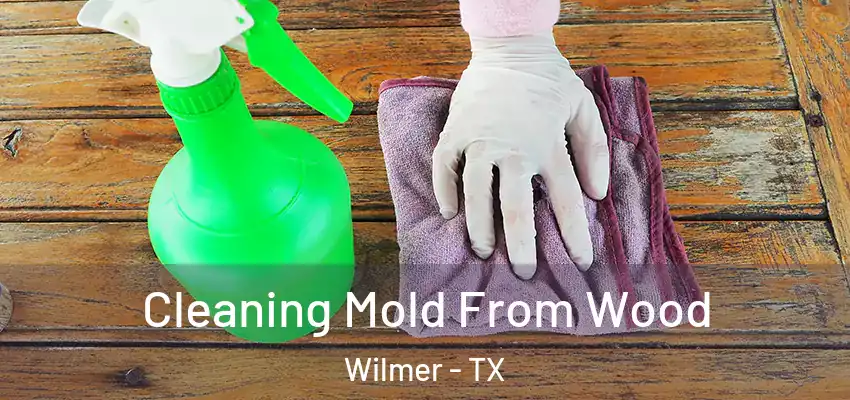  Cleaning Mold From Wood Wilmer - TX