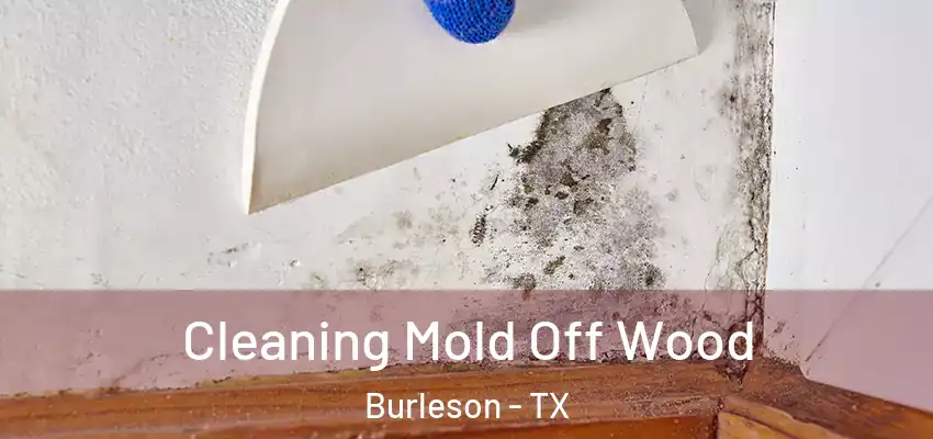 Cleaning Mold Off Wood Burleson - TX