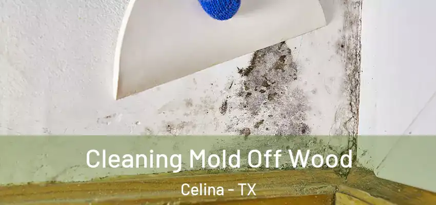 Cleaning Mold Off Wood Celina - TX