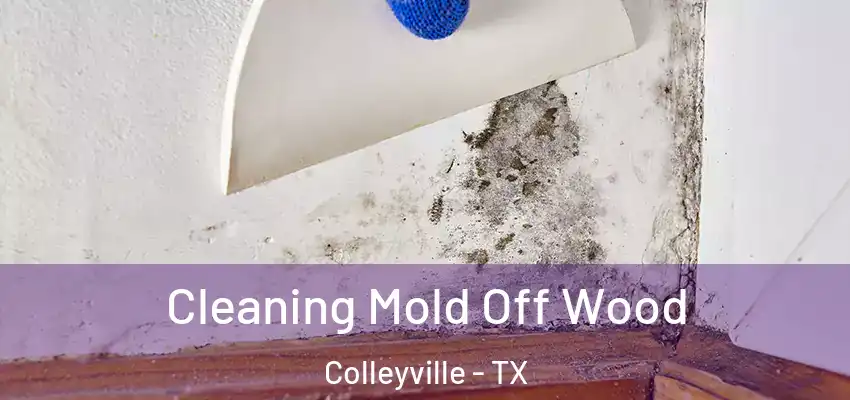 Cleaning Mold Off Wood Colleyville - TX