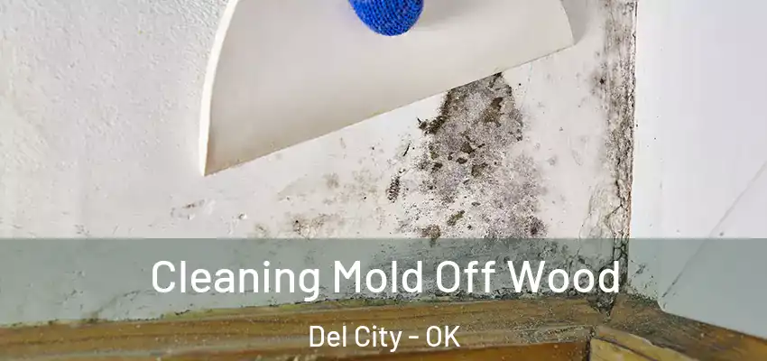  Cleaning Mold Off Wood Del City - OK