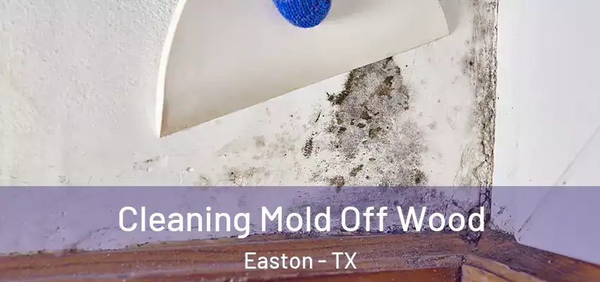  Cleaning Mold Off Wood Easton - TX