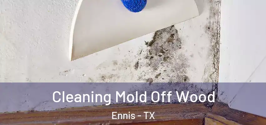  Cleaning Mold Off Wood Ennis - TX