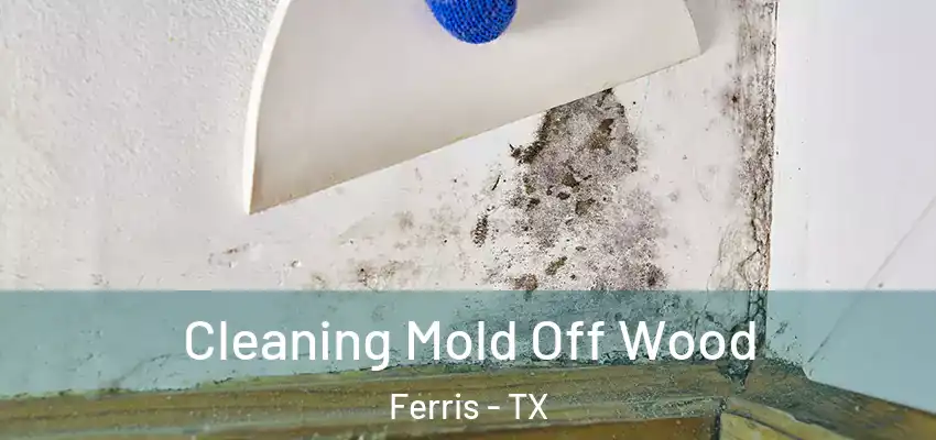  Cleaning Mold Off Wood Ferris - TX