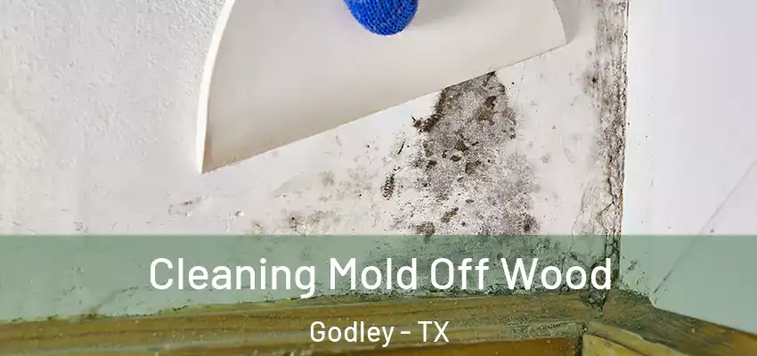 Cleaning Mold Off Wood Godley - TX