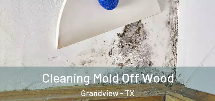  Cleaning Mold Off Wood Grandview - TX