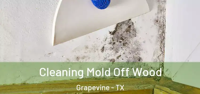Cleaning Mold Off Wood Grapevine - TX