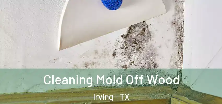  Cleaning Mold Off Wood Irving - TX