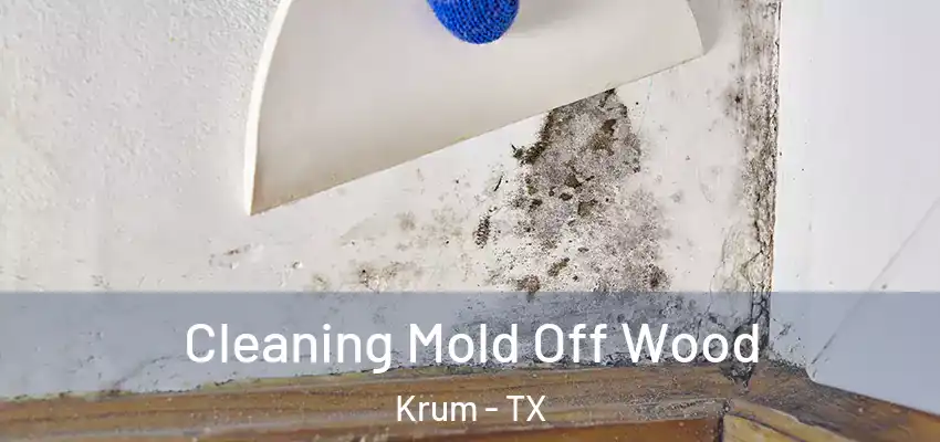 Cleaning Mold Off Wood Krum - TX