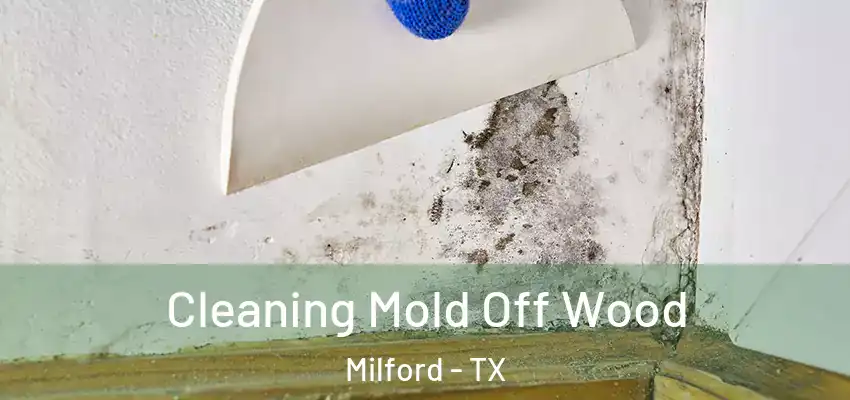  Cleaning Mold Off Wood Milford - TX