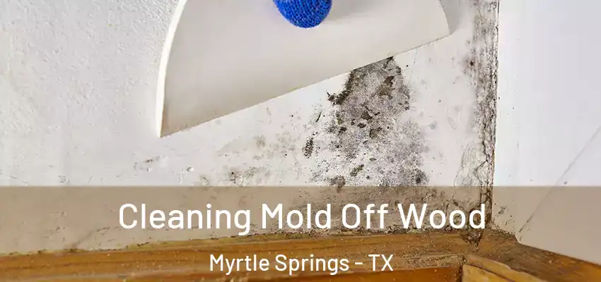  Cleaning Mold Off Wood Myrtle Springs - TX