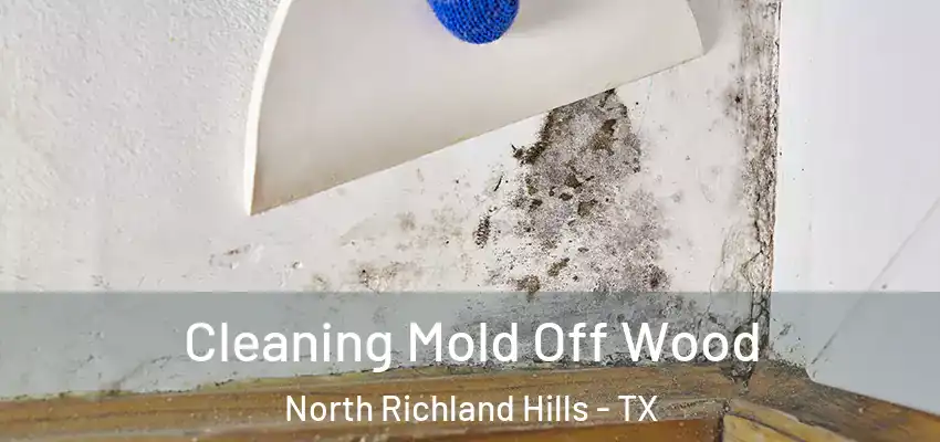  Cleaning Mold Off Wood North Richland Hills - TX