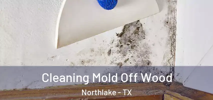 Cleaning Mold Off Wood Northlake - TX