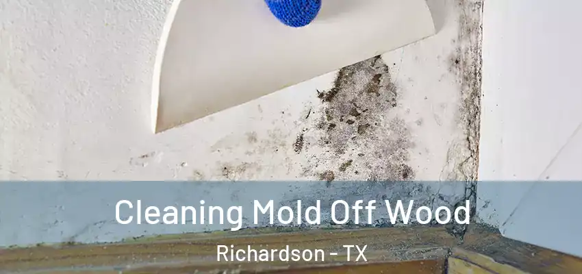 Cleaning Mold Off Wood Richardson - TX