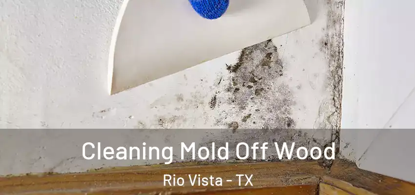 Cleaning Mold Off Wood Rio Vista - TX