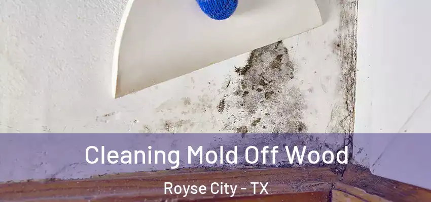  Cleaning Mold Off Wood Royse City - TX