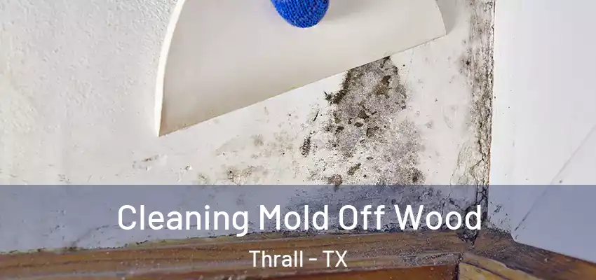 Cleaning Mold Off Wood Thrall - TX