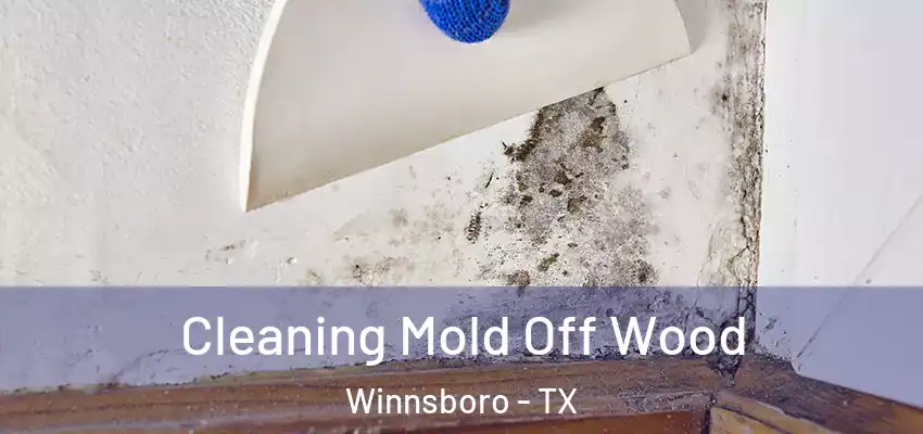  Cleaning Mold Off Wood Winnsboro - TX