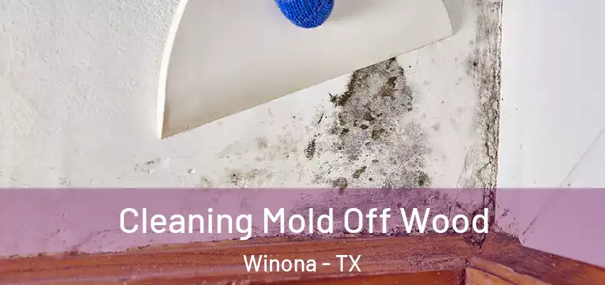  Cleaning Mold Off Wood Winona - TX