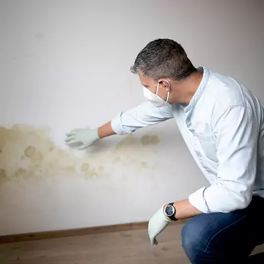 Trusted Mold Remediation and Removal Experts in Arkoma, OK