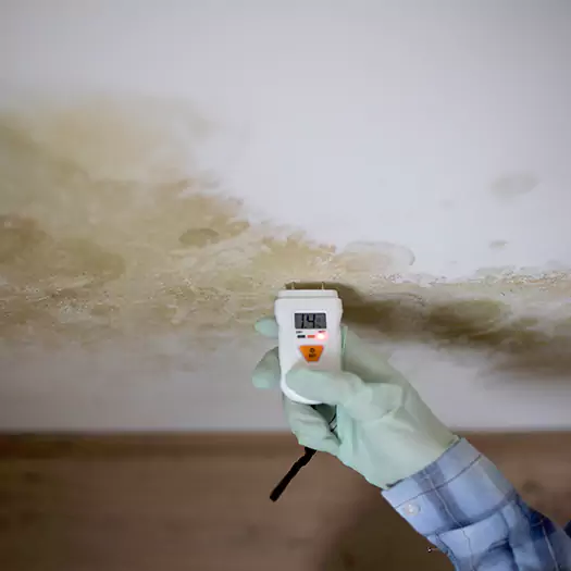 Reliable Mold Inspection Experts in Arkoma, OK