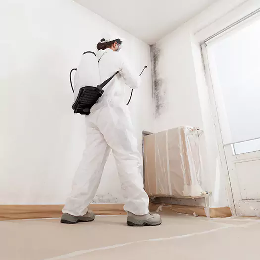 Experienced Mold & Mildew Specialists in Arkoma, OK