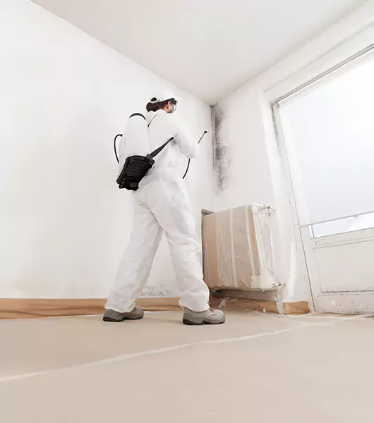 Specialists in All Areas of Mold Remediation and Water Damage Restoration in Arkoma, OK