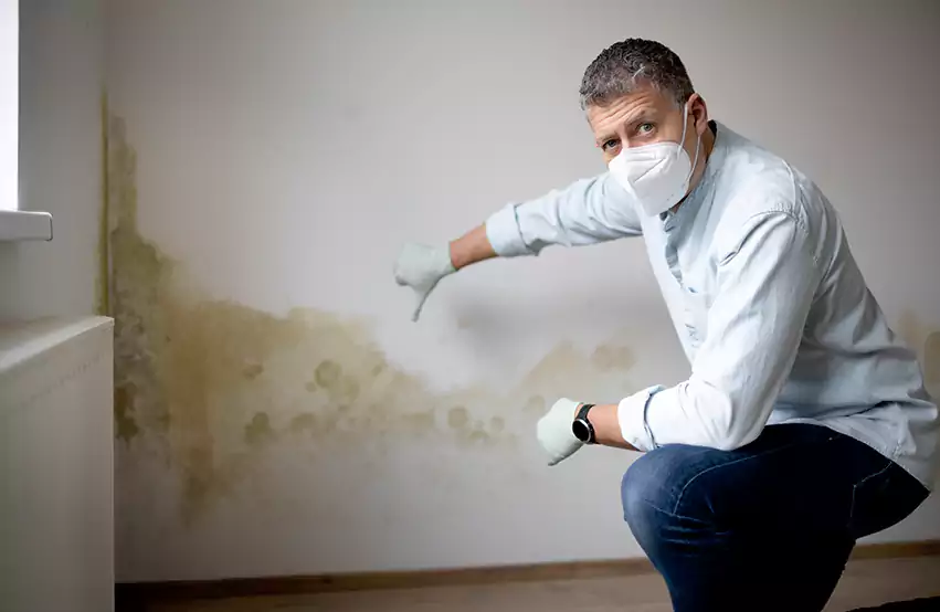Mold Removal in Arkoma, OK