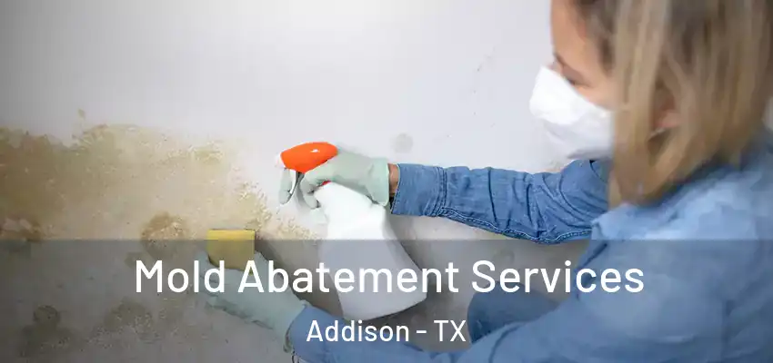  Mold Abatement Services Addison - TX