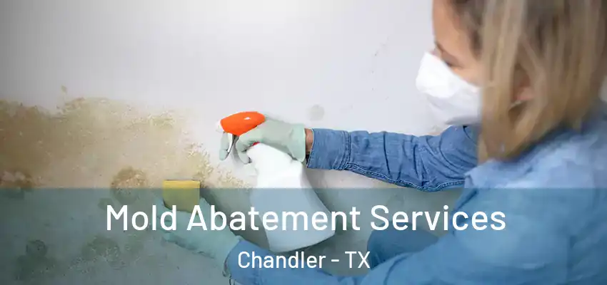  Mold Abatement Services Chandler - TX