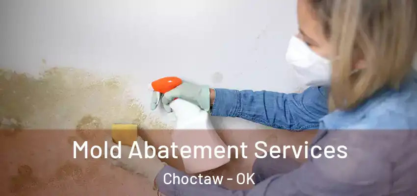 Mold Abatement Services Choctaw - OK