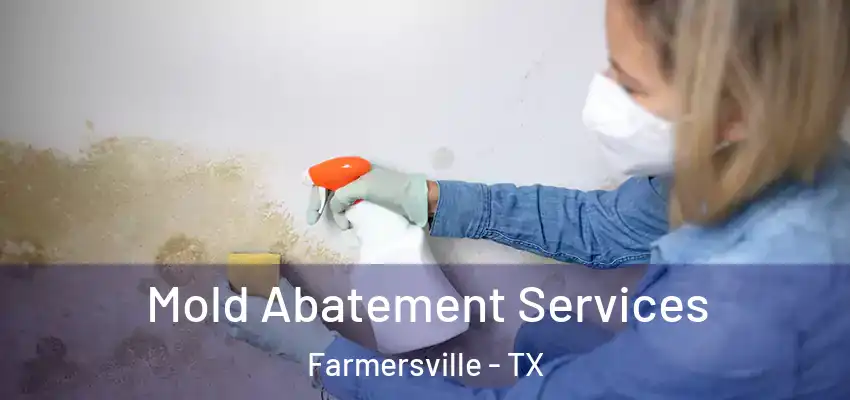 Mold Abatement Services Farmersville - TX