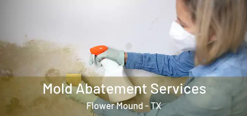  Mold Abatement Services Flower Mound - TX
