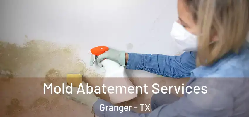  Mold Abatement Services Granger - TX
