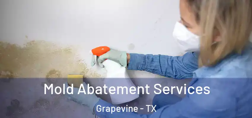 Mold Abatement Services Grapevine - TX