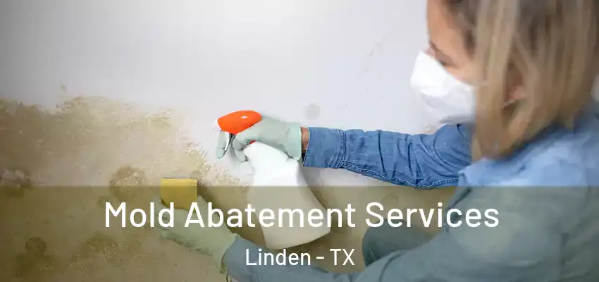 Mold Abatement Services Linden - TX