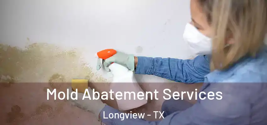 Mold Abatement Services Longview - TX