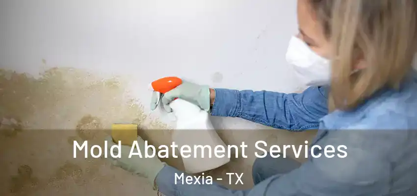 Mold Abatement Services Mexia - TX