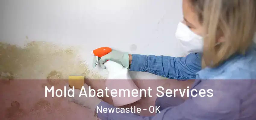 Mold Abatement Services Newcastle - OK