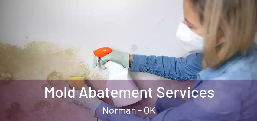  Mold Abatement Services Norman - OK