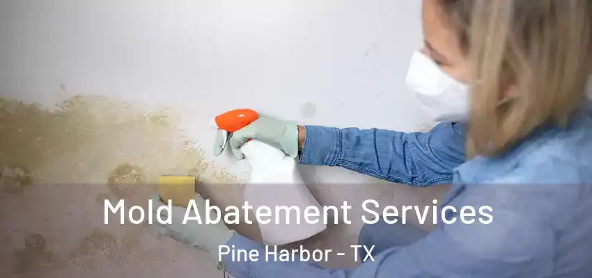 Mold Abatement Services Pine Harbor - TX