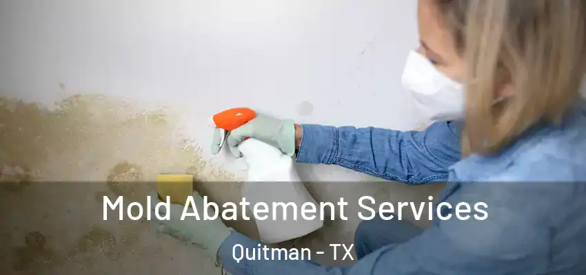  Mold Abatement Services Quitman - TX