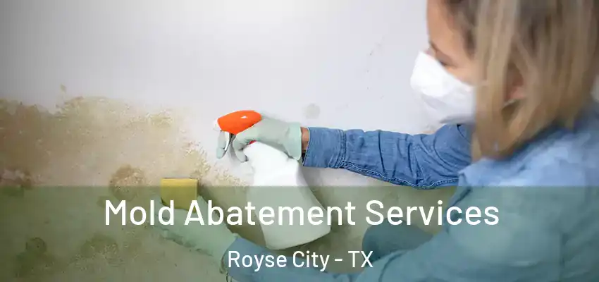  Mold Abatement Services Royse City - TX