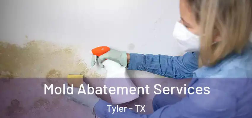  Mold Abatement Services Tyler - TX