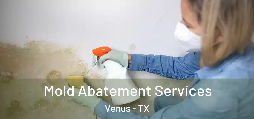  Mold Abatement Services Venus - TX