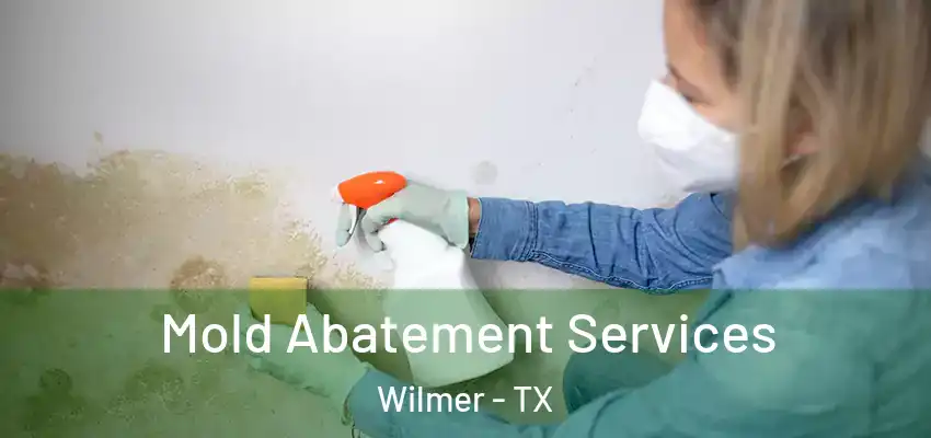 Mold Abatement Services Wilmer - TX