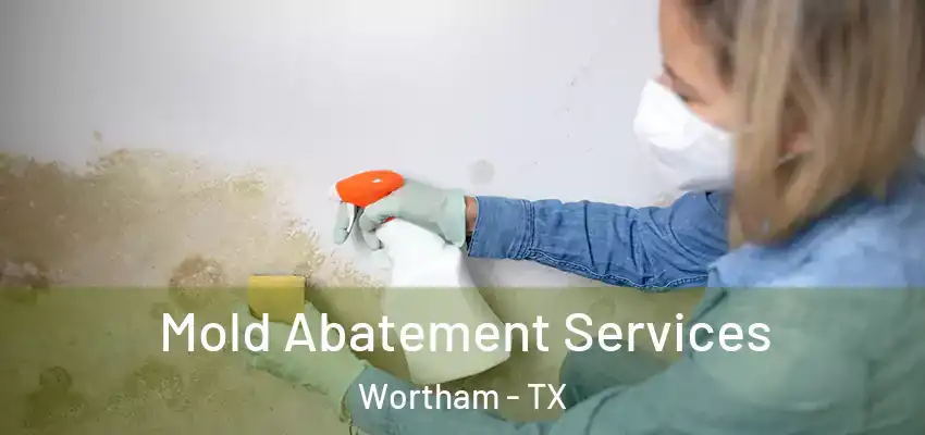 Mold Abatement Services Wortham - TX